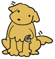 Chobi the GoldenRetriever sticker #303118