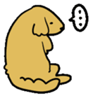 Chobi the GoldenRetriever sticker #303119