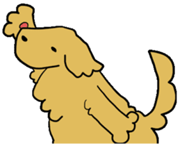 Chobi the GoldenRetriever sticker #303121
