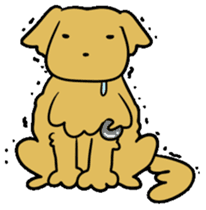 Chobi the GoldenRetriever sticker #303124