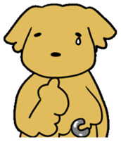 Chobi the GoldenRetriever sticker #303131