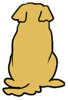 Chobi the GoldenRetriever sticker #303134