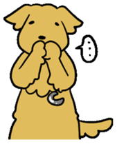 Chobi the GoldenRetriever sticker #303137