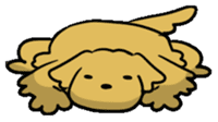 Chobi the GoldenRetriever sticker #303139