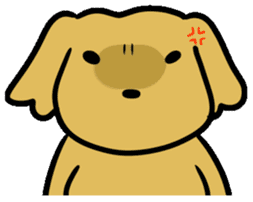 Chobi the GoldenRetriever sticker #303141