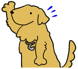 Chobi the GoldenRetriever sticker #303144