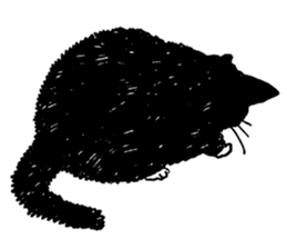 Black & White CATS sticker #303747