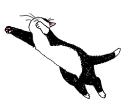 Black & White CATS sticker #303751