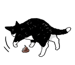 Black & White CATS sticker #303754