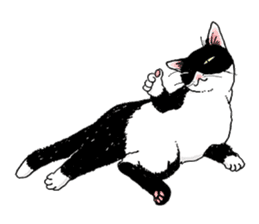 Black & White CATS sticker #303763