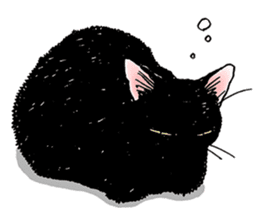 Black & White CATS sticker #303769