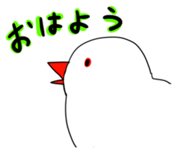 The Java sparrow! sticker #305746