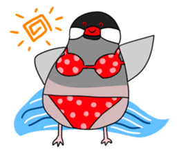 The Java sparrow! sticker #305776