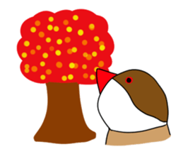 The Java sparrow! sticker #305777