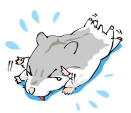 Lovely hamster SHISHAMO sticker #306813