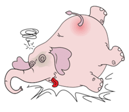 PINK DUMBO (LOOK CHANG THAI) sticker #309834