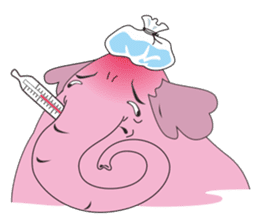 PINK DUMBO (LOOK CHANG THAI) sticker #309864