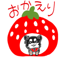 President Rock sticker #310180