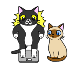 6 Neko Stikers (1) sticker #313017