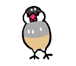 Java sparrow-chan sticker #315226