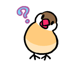 Java sparrow-chan sticker #315228