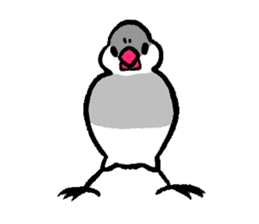 Java sparrow-chan sticker #315229