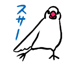 Java sparrow-chan sticker #315231