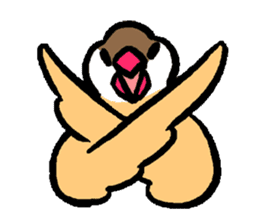 Java sparrow-chan sticker #315236