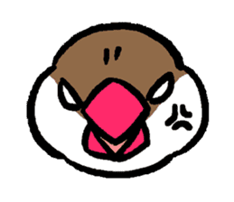 Java sparrow-chan sticker #315240