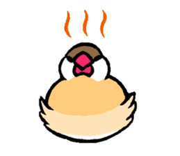 Java sparrow-chan sticker #315244