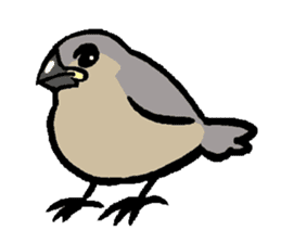 Java sparrow-chan sticker #315245