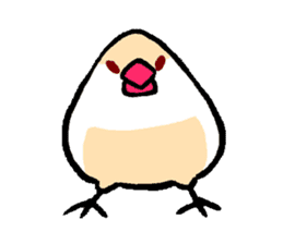 Java sparrow-chan sticker #315251