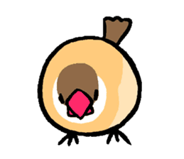 Java sparrow-chan sticker #315252
