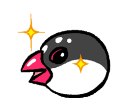 Java sparrow-chan sticker #315254