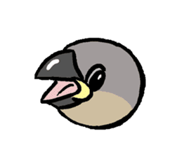 Java sparrow-chan sticker #315255