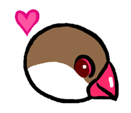 Java sparrow-chan sticker #315256