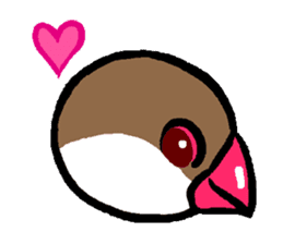 Java sparrow-chan sticker #315256