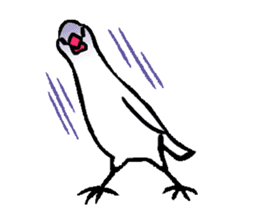 Java sparrow-chan sticker #315262