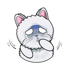 Shiro the Cat sticker #317261