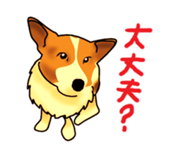 Days suttoko in kogio sticker #317266