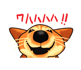 Days suttoko in kogio sticker #317268