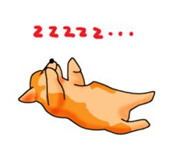 Days suttoko in kogio sticker #317270