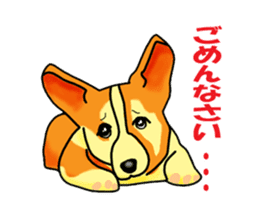 Days suttoko in kogio sticker #317274