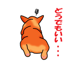 Days suttoko in kogio sticker #317275