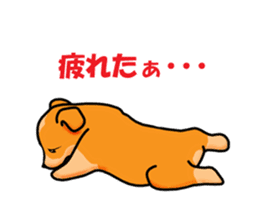 Days suttoko in kogio sticker #317278