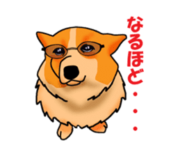 Days suttoko in kogio sticker #317280