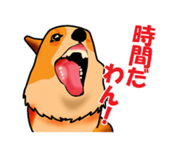 Days suttoko in kogio sticker #317281