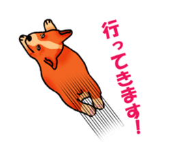 Days suttoko in kogio sticker #317283