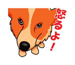 Days suttoko in kogio sticker #317284