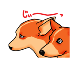 Days suttoko in kogio sticker #317285